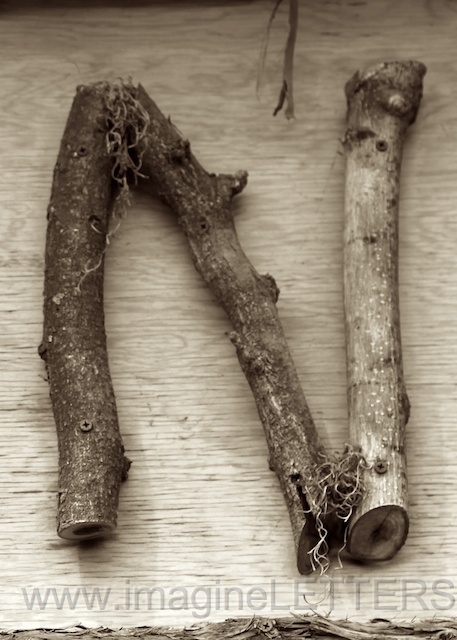 Wall_Art_Alphabet_Photography_Art_ 1499.jpg